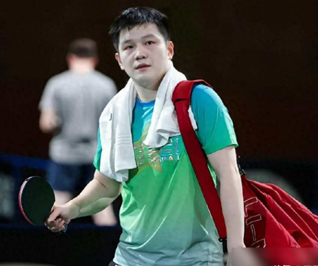 开云APP-包含比利时乒乓球队强势德国乒乓球队，樊振东打破历史纪录的词条