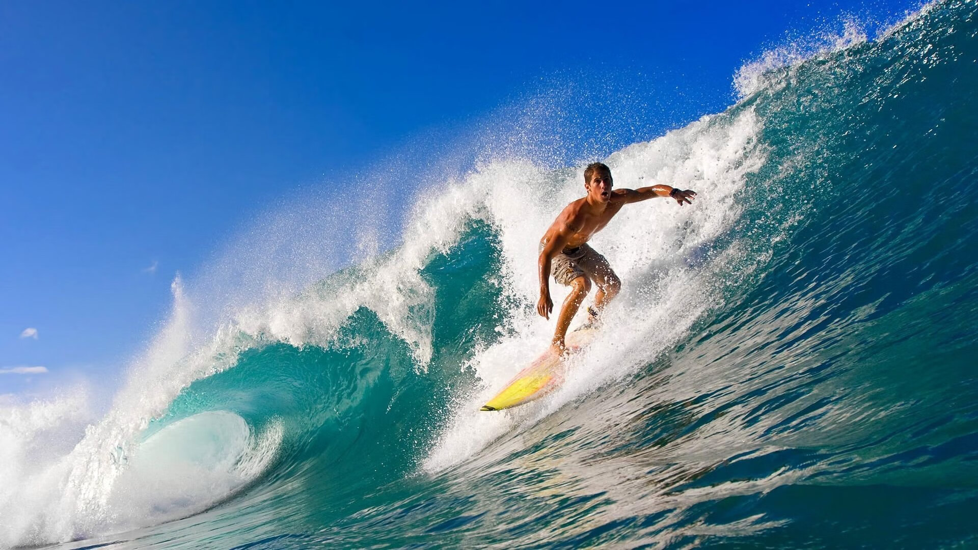 狼群末节撕咬灰熊，东契奇东决舞台独舞—双线叙事中的主宰时刻