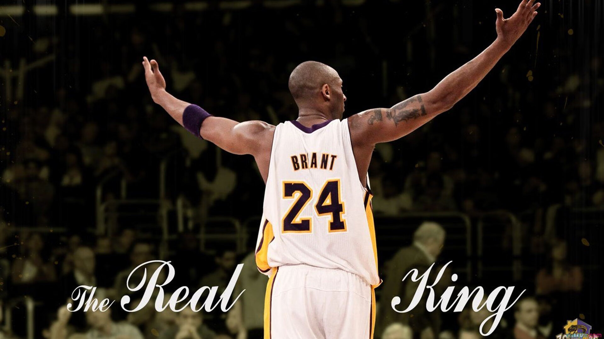 从墨尔本到都灵，西西帕斯扛起全队，一场跨越赛季的逆转史诗